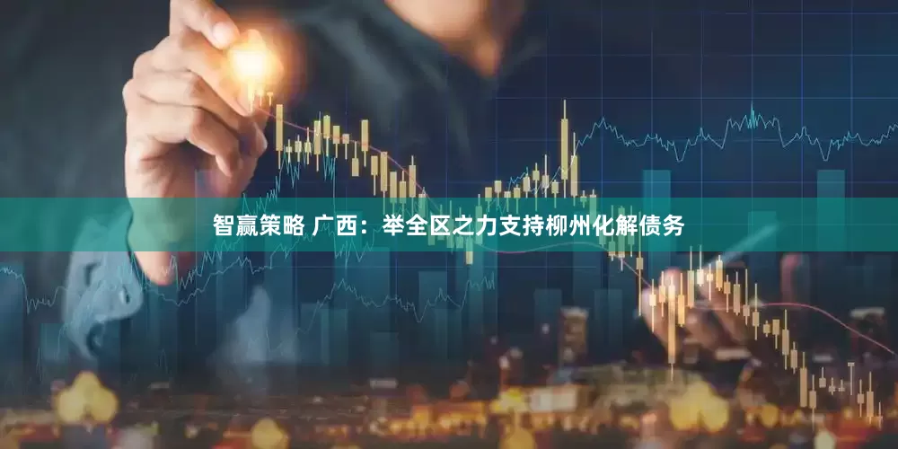 智赢策略 广西：举全区之力支持柳州化解债务