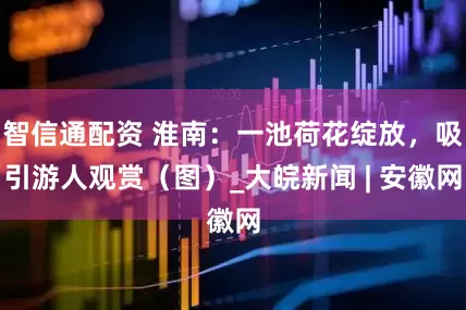 智信通配资 淮南：一池荷花绽放，吸引游人观赏（图）_大皖新闻 | 安徽网